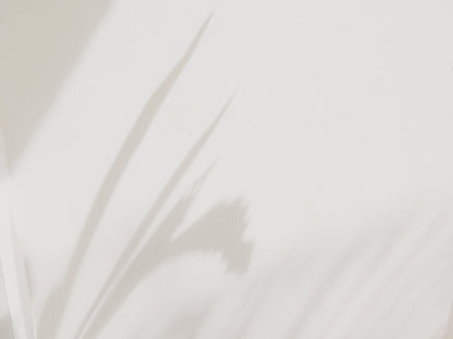 2025 Bold & Beautiful Calendar – 12 Months of Empowerment | 2025 Wall Calendar | Business Women Calendar